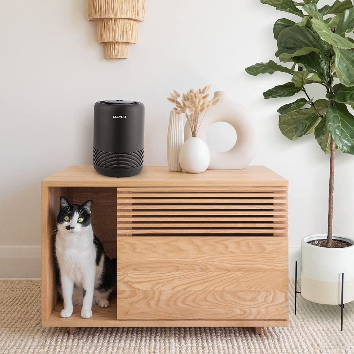 Slevoo Air Purifier Filter Replacement for BS-01, 3-in-1 HEPA Air Filter